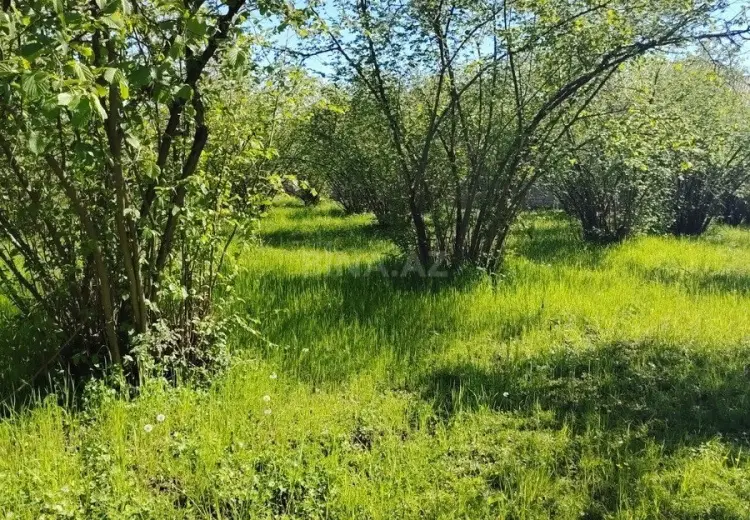 20 sot Torpaq Satılır, 28 may qəs., Qəbələ