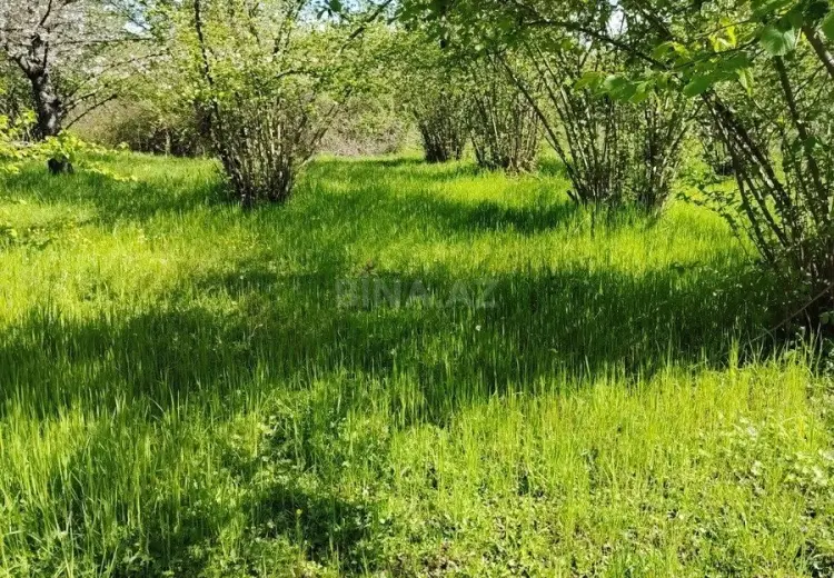 20 sot Torpaq Satılır, 28 may qəs., Qəbələ