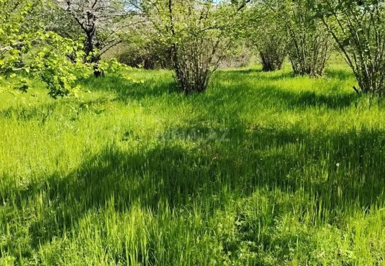 20 sot Torpaq Satılır, 28 may qəs., Qəbələ