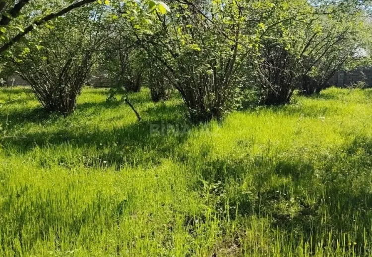 20 sot Torpaq Satılır, 28 may qəs., Qəbələ