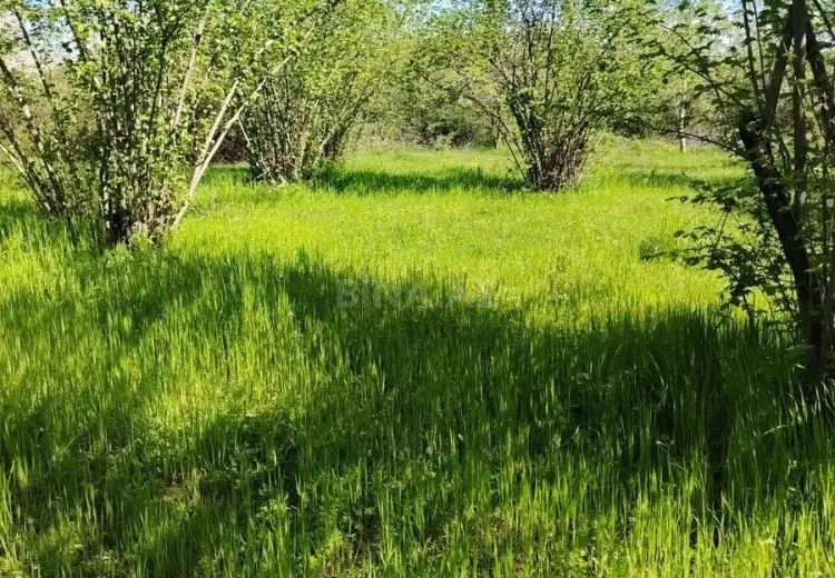 20 sot Torpaq Satılır, 28 may qəs., Qəbələ