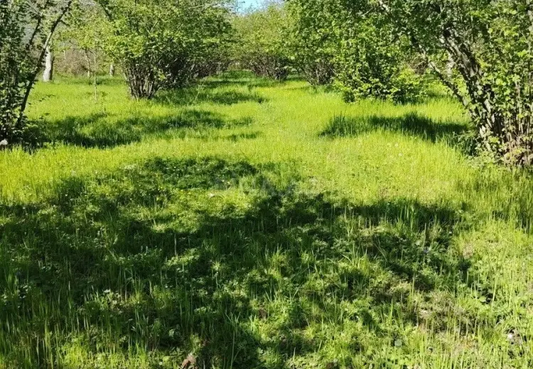 20 sot Torpaq Satılır, 28 may qəs., Qəbələ