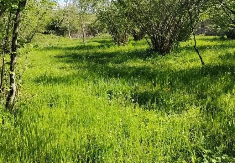 20 sot Torpaq Satılır, 28 may qəs., Qəbələ