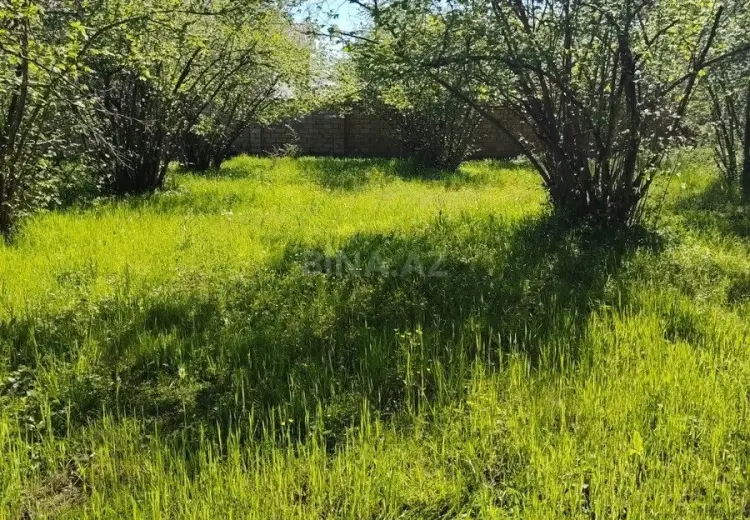 20 sot Torpaq Satılır, 28 may qəs., Qəbələ