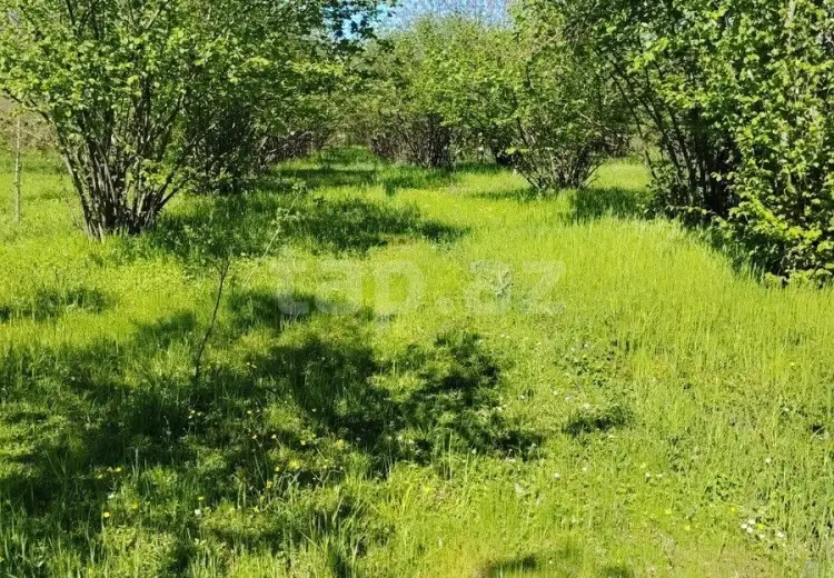 0 m² Obyekt / Ofis , Qəbələ