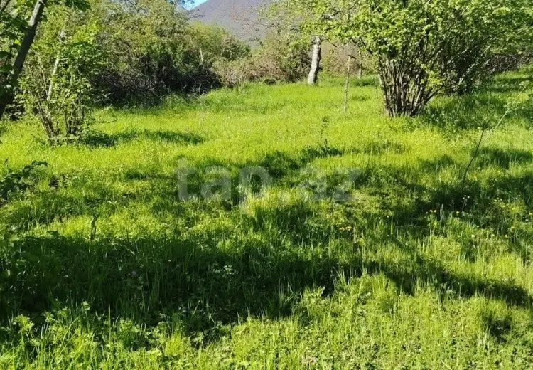 0 m² Obyekt / Ofis , Qəbələ