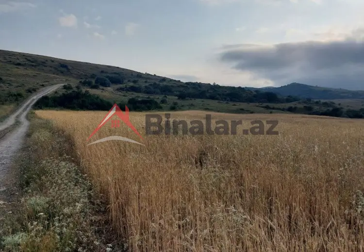 400 sot Torpaq Satılır, Xızı