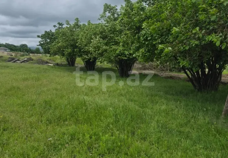 0 m² Obyekt / Ofis , Quba