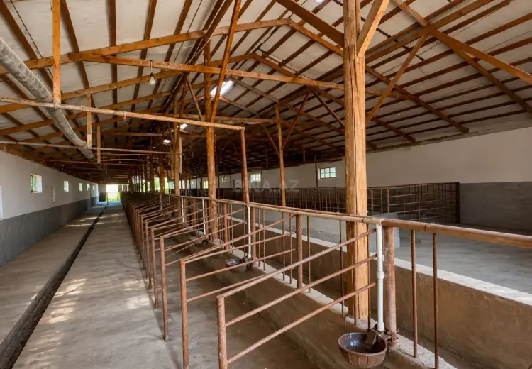 7000 m² Obyekt / Ofis Satılır, Salyan