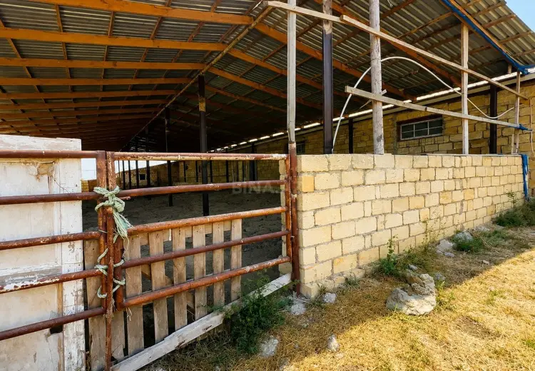 7000 m² Obyekt / Ofis Satılır, Salyan