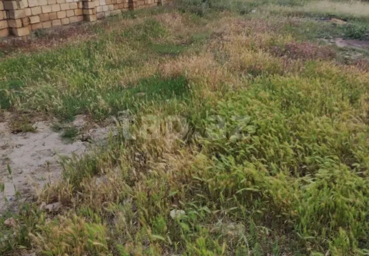 0 m² Obyekt / Ofis , Mehdiabad, Abşeron
