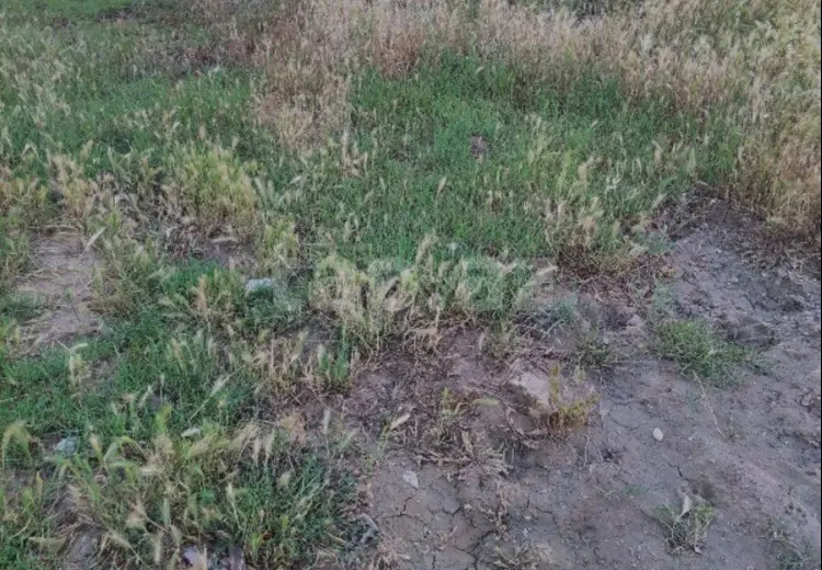 0 m² Obyekt / Ofis , Mehdiabad, Abşeron