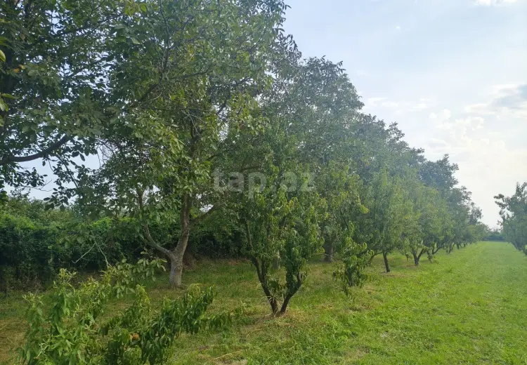 0 m² Obyekt / Ofis , Xaçmaz