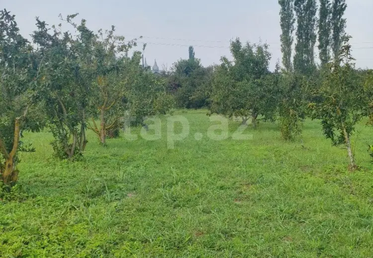 0 m² Obyekt / Ofis , Xaçmaz