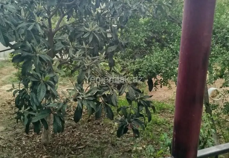 5 otaqlı mənzil Satılır, Əhmədli, Xətai, Bakı