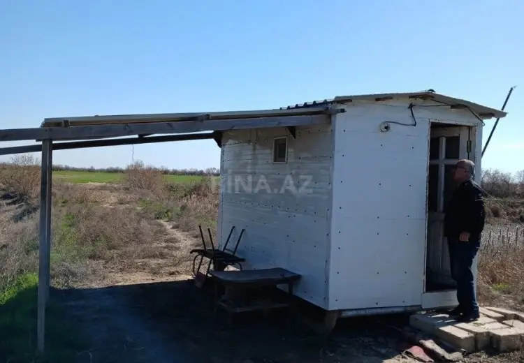 300 sot Torpaq Satılır, Neftçala