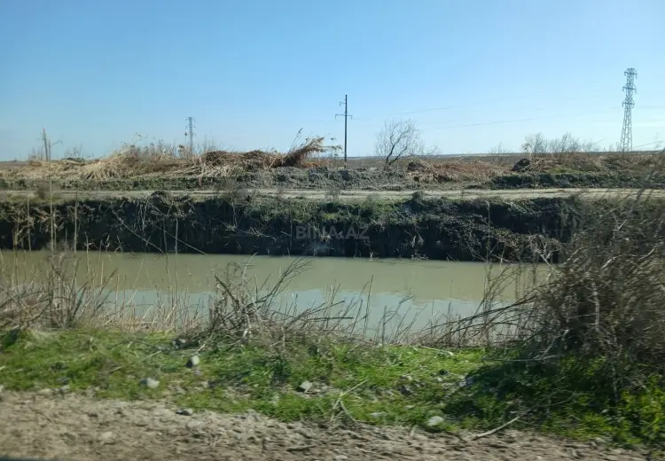 300 sot Torpaq Satılır, Neftçala