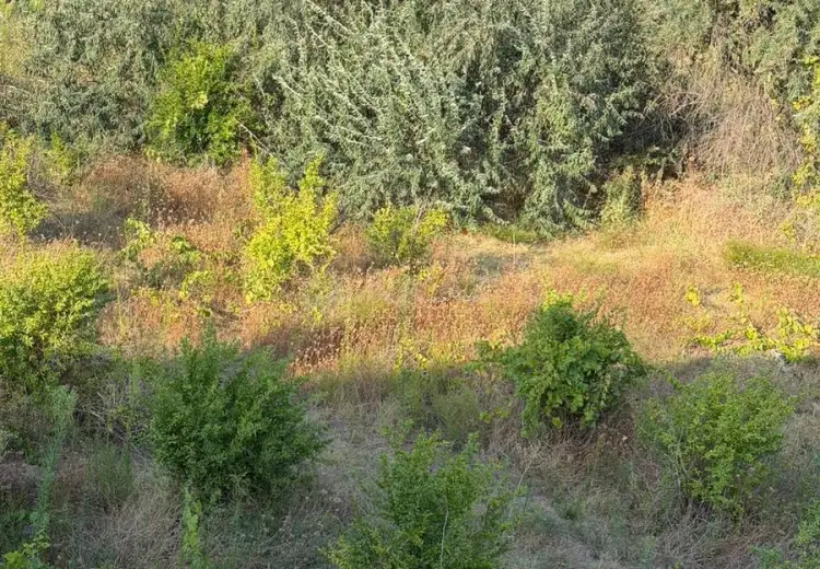 10 sot Torpaq Satılır, Sumqayıt