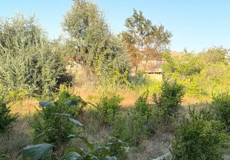 10 sot Torpaq Satılır, Sumqayıt