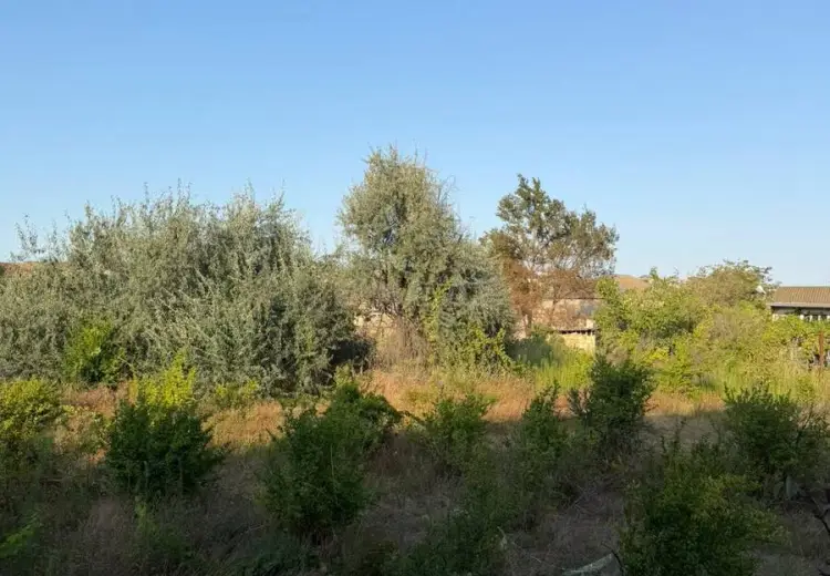 10 sot Torpaq Satılır, Sumqayıt