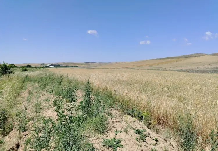 1780 sot Torpaq Satılır, Qobustan şəh., Qobustan