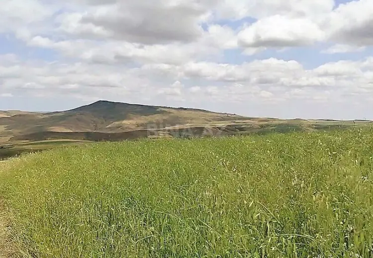 1780 sot Torpaq Satılır, Qobustan şəh., Qobustan