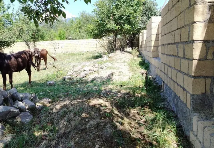 0 m² Obyekt / Ofis , Qəbələ