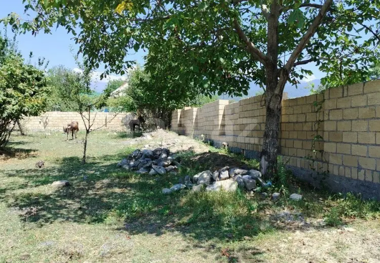 0 m² Obyekt / Ofis , Qəbələ