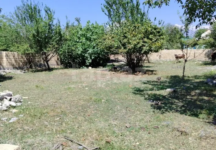 0 m² Obyekt / Ofis , Qəbələ