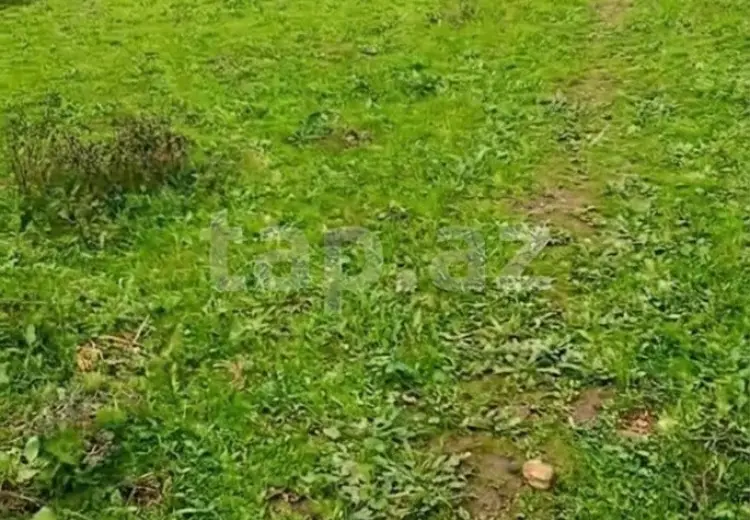 0 m² Obyekt / Ofis , Masallı