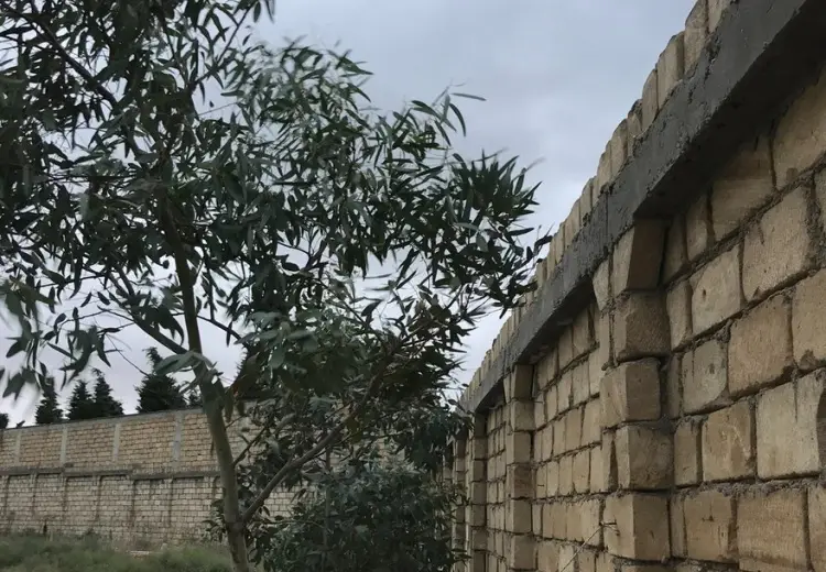 16 sot Torpaq Satılır, Fatmayı, Abşeron