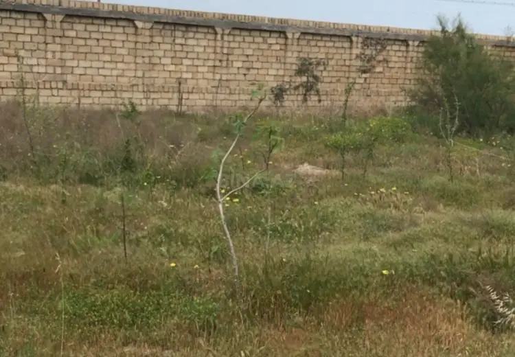 16 sot Torpaq Satılır, Fatmayı, Abşeron