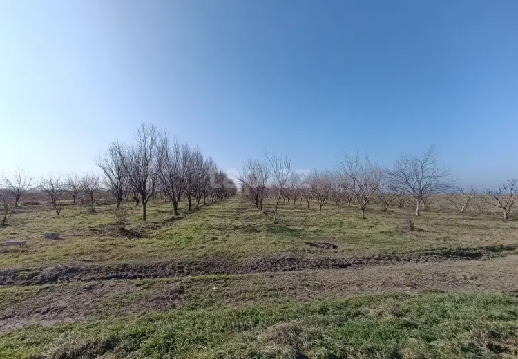 0 m² Obyekt / Ofis , Xaçmaz