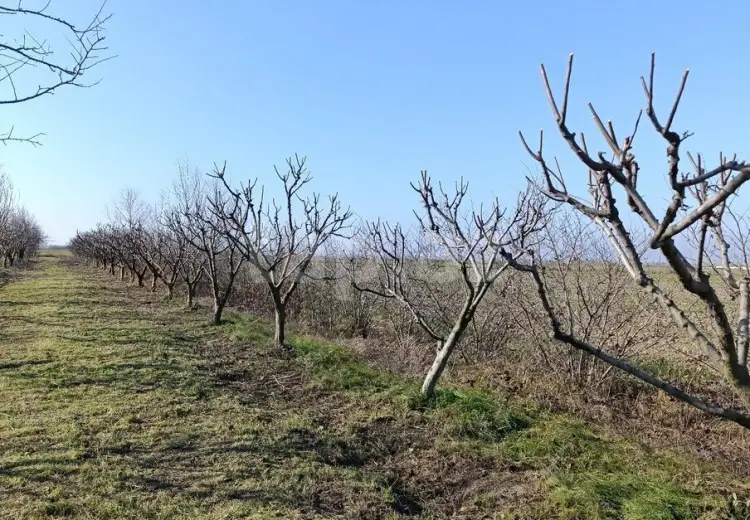0 m² Obyekt / Ofis , Xaçmaz