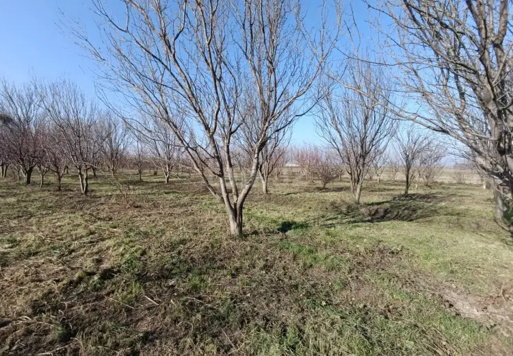 0 m² Obyekt / Ofis , Xaçmaz