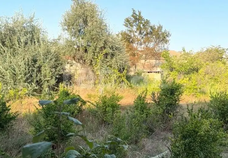0 m² Obyekt / Ofis , Sumqayıt