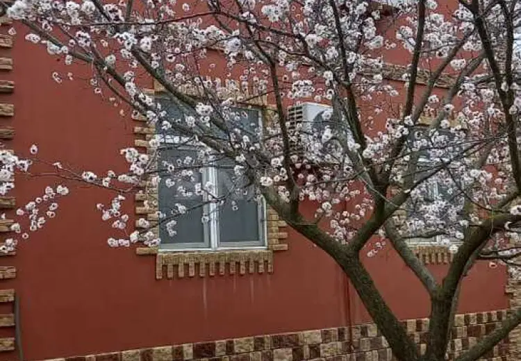 4 otaqlı mənzil Satılır, Bilgəh qəs., Sabunçu, Bakı