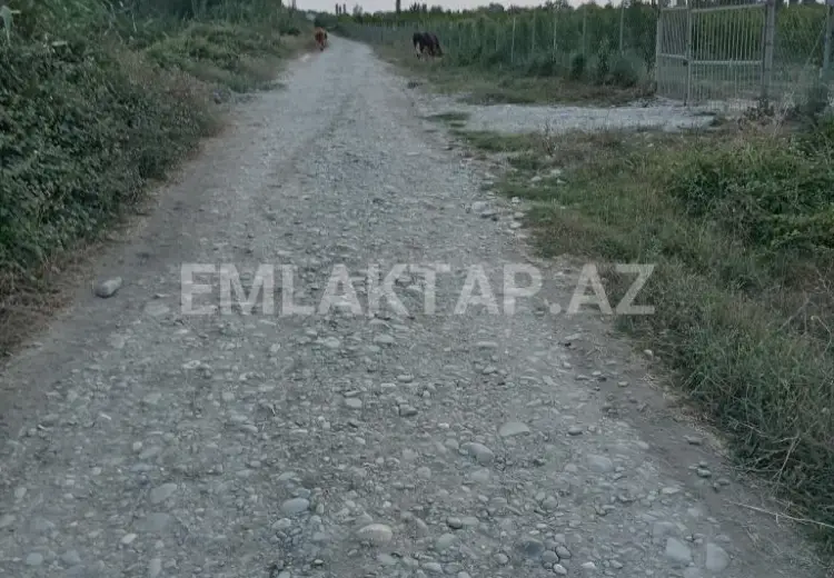 400 sot Torpaq Satılır, Xaçmaz