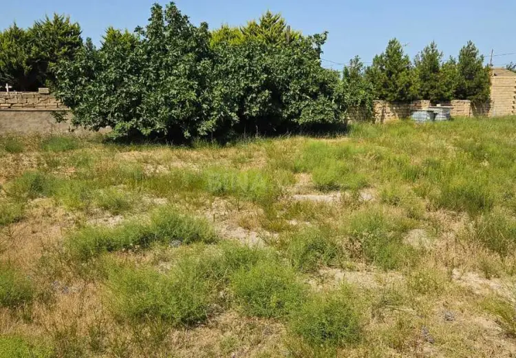 10 sot Torpaq Satılır, Goradil, Abşeron