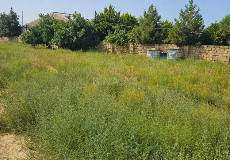 10 sot Torpaq Satılır, Goradil, Abşeron