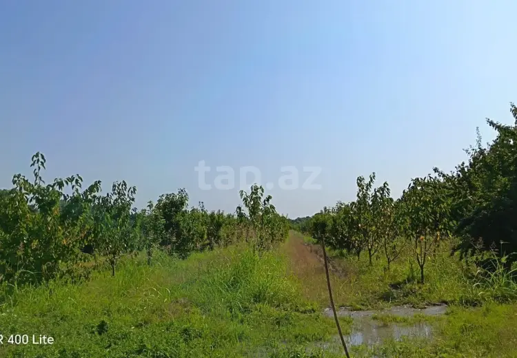 0 m² Obyekt / Ofis , Xaçmaz
