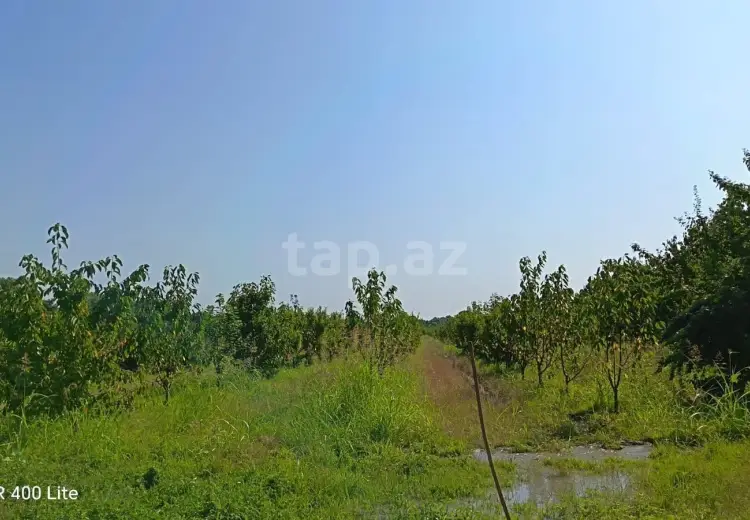 0 m² Obyekt / Ofis , Xaçmaz