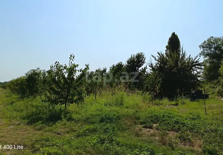 0 m² Obyekt / Ofis , Xaçmaz