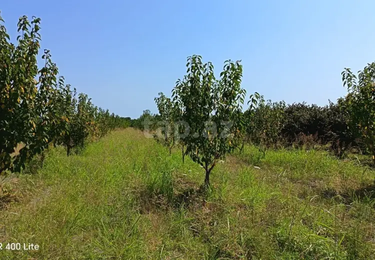 0 m² Obyekt / Ofis , Xaçmaz