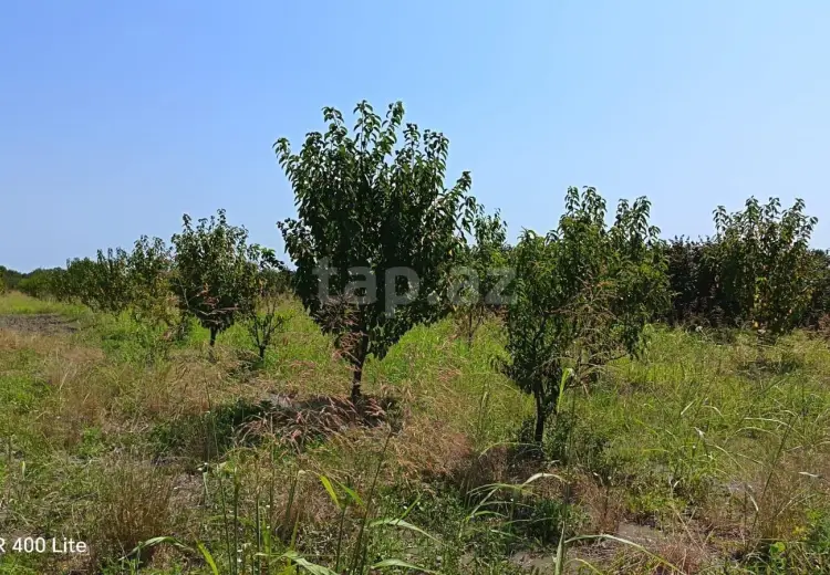 0 m² Obyekt / Ofis , Xaçmaz