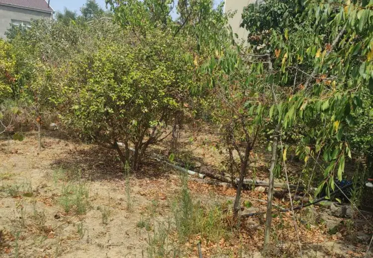 9 sot Torpaq Satılır, Mərdəkan, Xəzər, Bakı