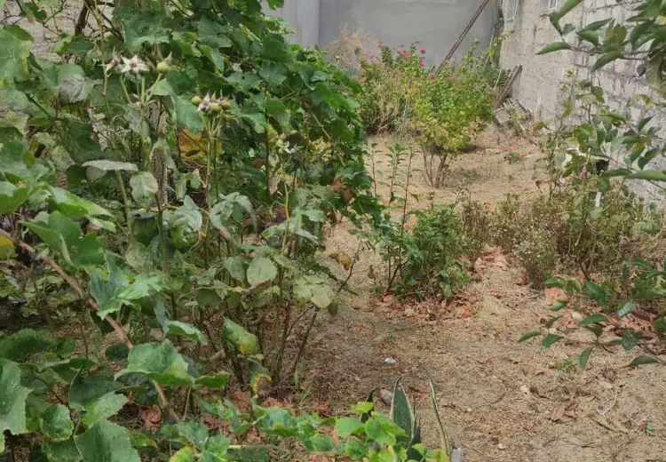 9 sot Torpaq Satılır, Mərdəkan, Xəzər, Bakı