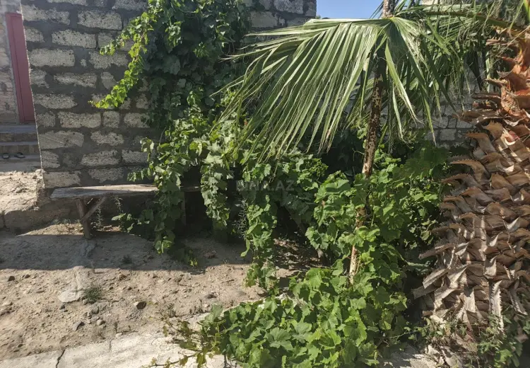 9 sot Torpaq Satılır, Mərdəkan, Xəzər, Bakı