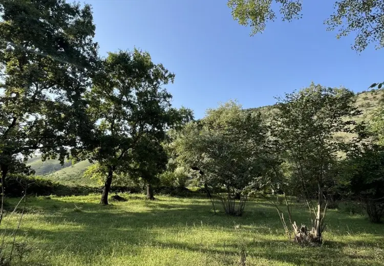 100 m² Obyekt / Ofis Satılır, Oğuz