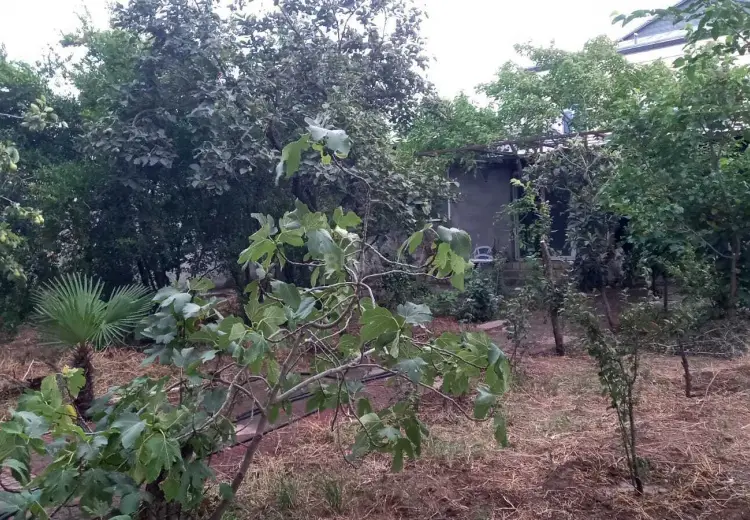 4.3 sot Torpaq Satılır, Bakıxanov qəs., Sabunçu, Bakı